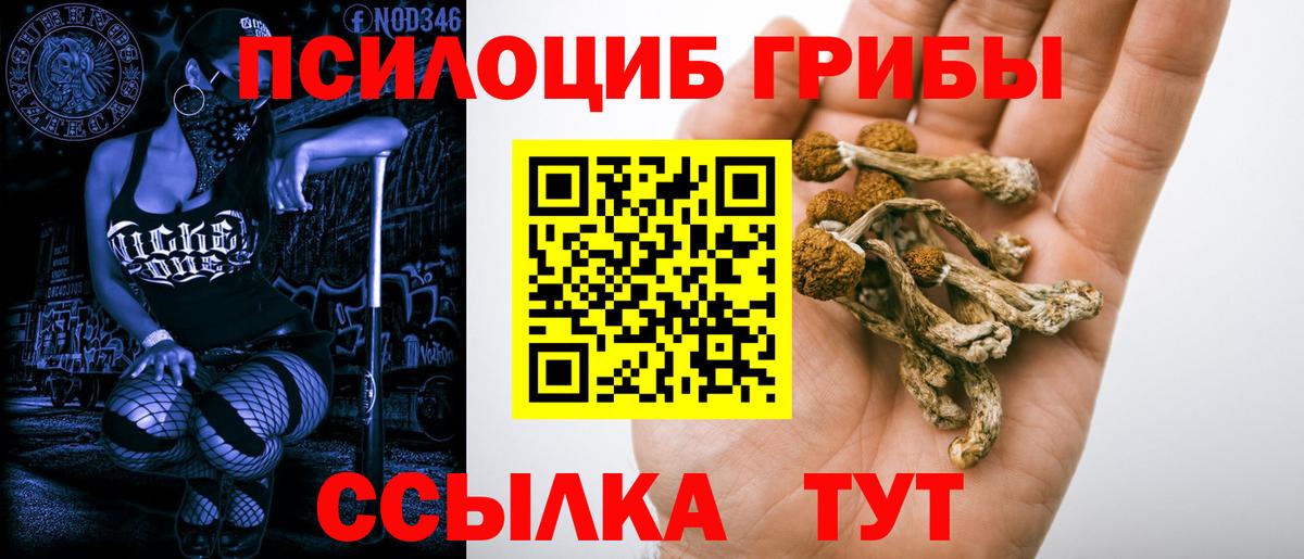 Галлюциногенные грибы прущие грибы  Вход с VPN  Псилоцибиновые грибы мицелий  Ярославль 